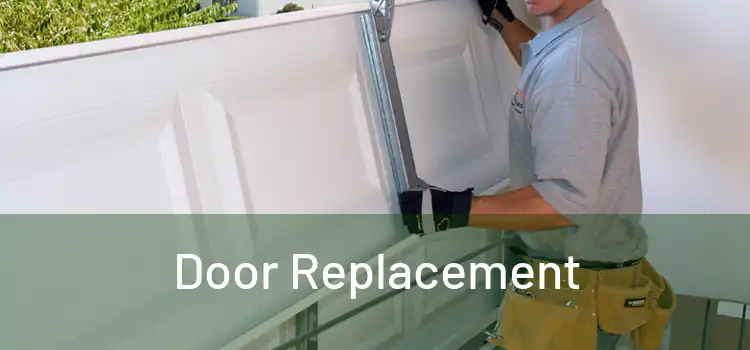  Door Replacement 