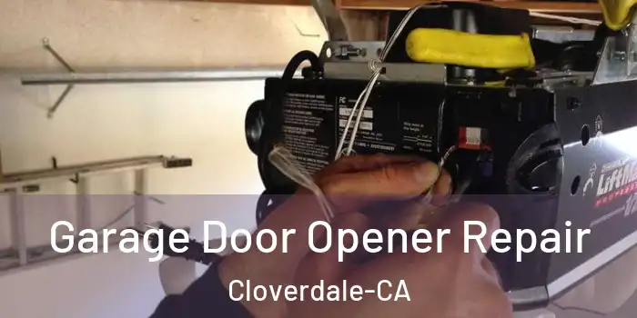  Garage Door Opener Repair Cloverdale-CA